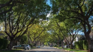 Grow Your Tree Care Business Through SEO Strategies