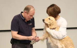 Guide to Improve Pet Wellness Through Chinese Medicine Wisdom