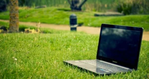 Advantages of Carbon-Neutral Social Media Strategies for Businesses