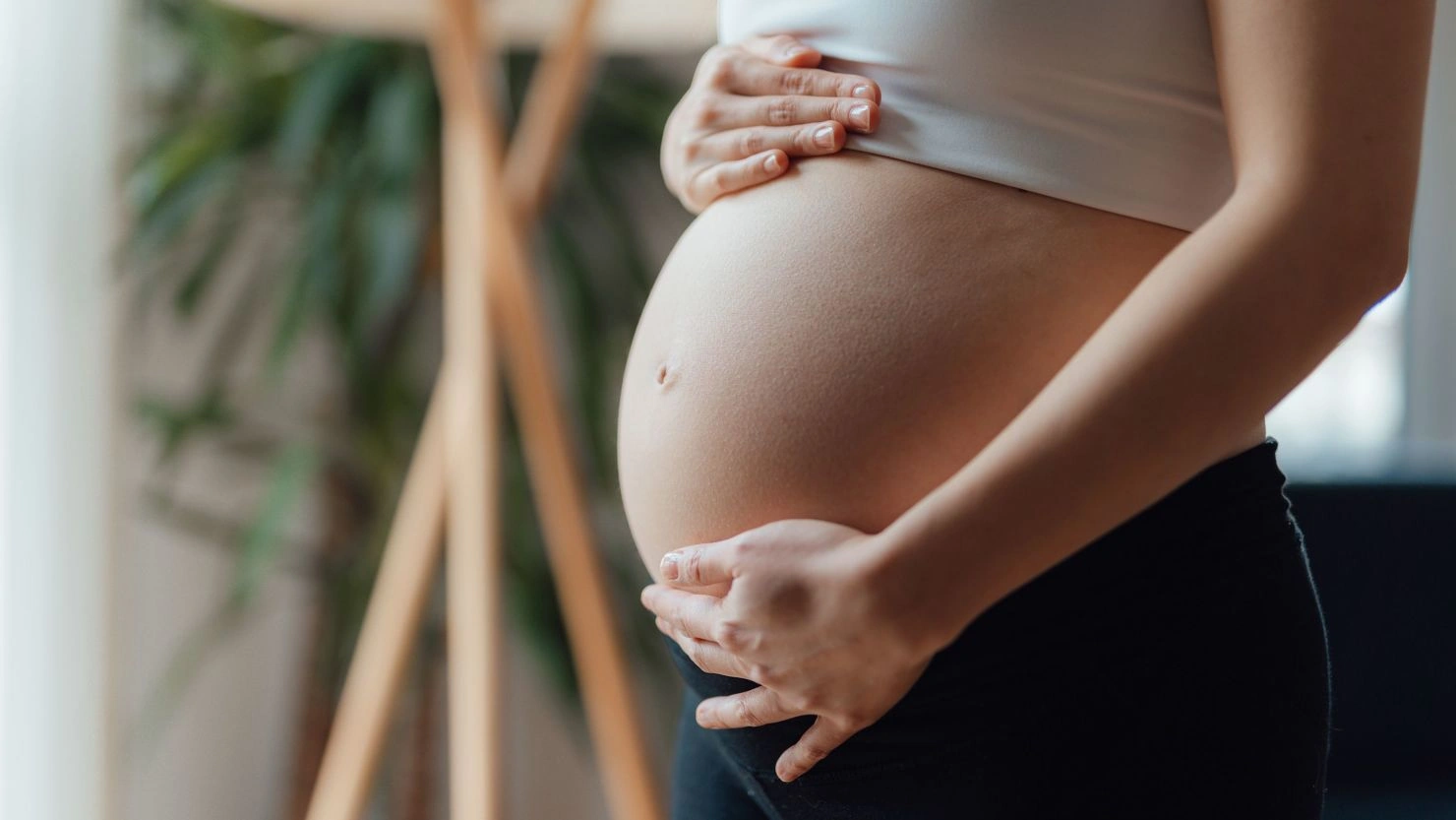 What is holistic pregnancy wellness